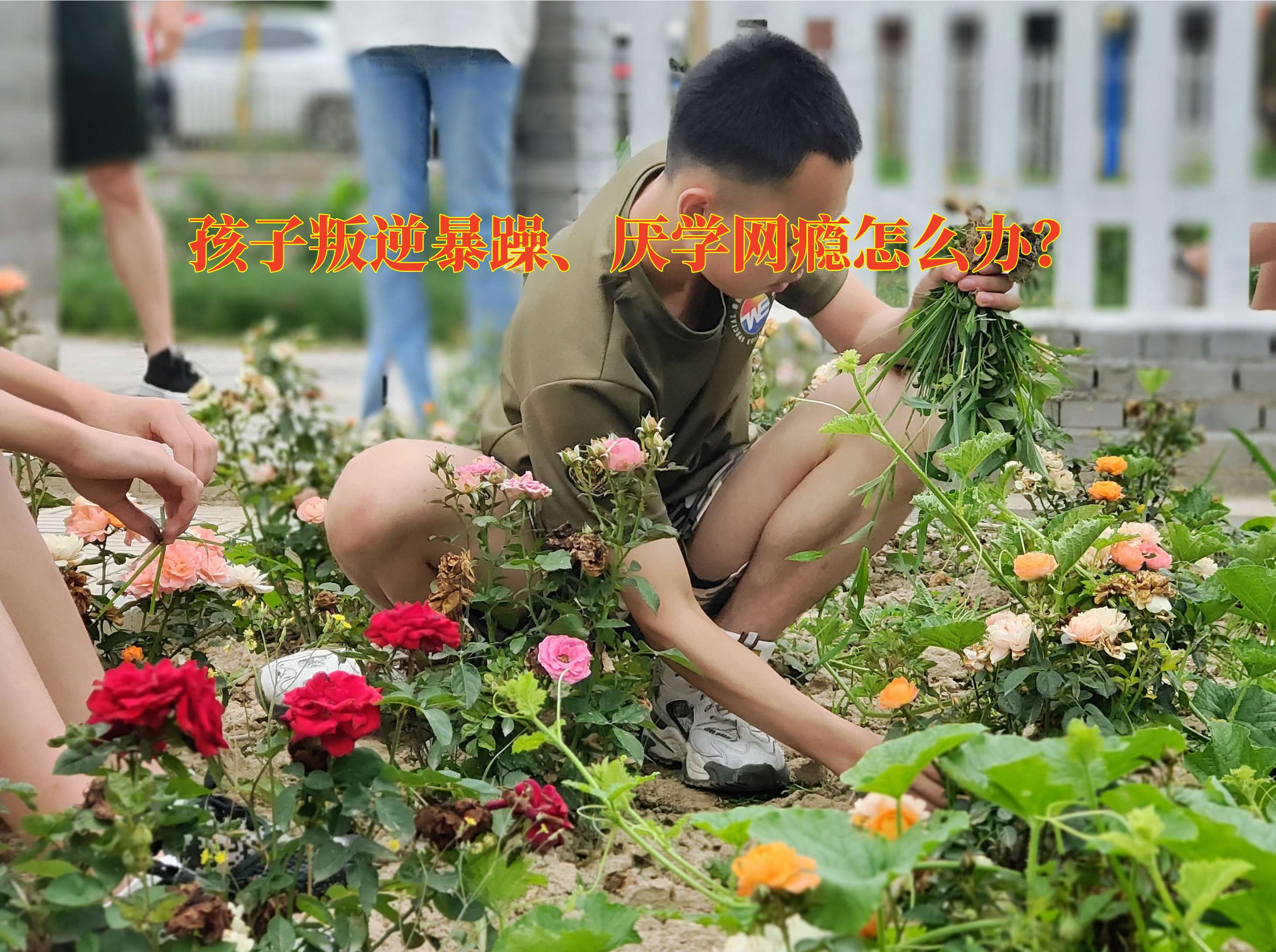 脾氣暴躁教育學(xué)校,孩子脾氣暴躁矯正 脾氣暴躁教育學(xué)校,孩子脾氣暴躁矯正