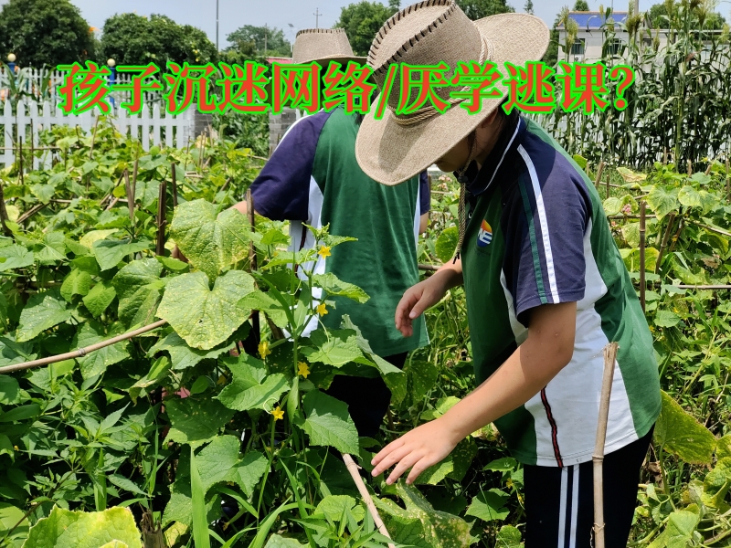 戒網絡游戲學校,戒網癮學校 戒網絡游戲學校,戒網癮學校