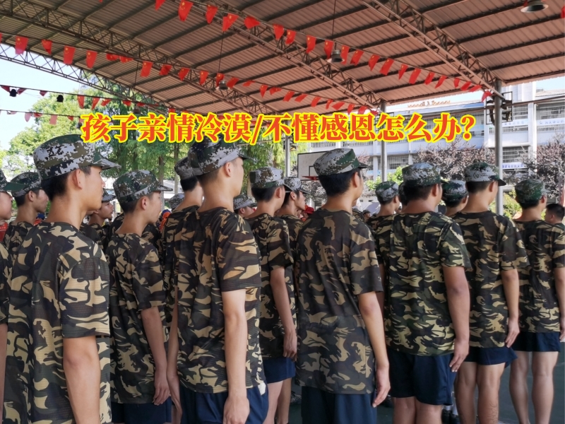 情感缺失孩子學校,感恩教育學校 情感缺失孩子學校,感恩教育學校