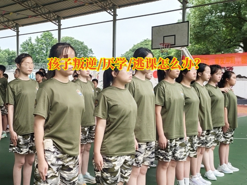 厭學孩子學校,厭學學校 厭學孩子學校,厭學學校