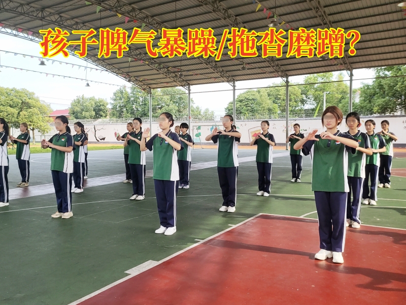 封閉式軍事化學(xué)校,軍事訓(xùn)練學(xué)校