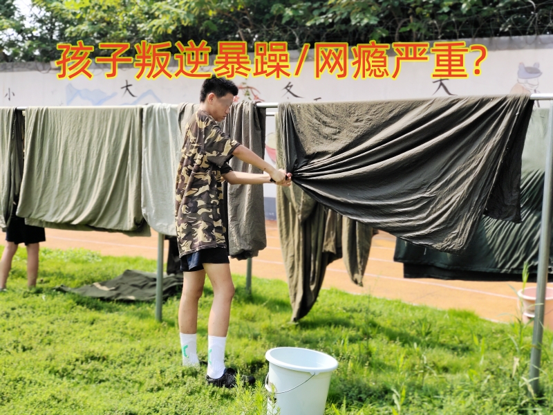 戒網癮教育學校,戒網癮教育 戒網癮教育學校,戒網癮教育