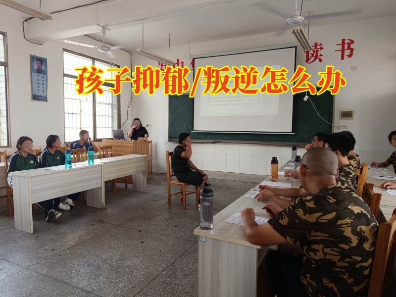 抑郁癥治療學校,心理輔導學校 抑郁癥治療學校,心理輔導學校