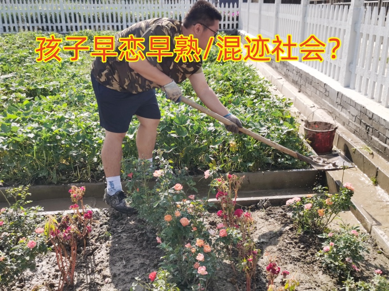 早戀教育學校,孩子早戀教育學校 早戀教育學校,孩子早戀教育學校