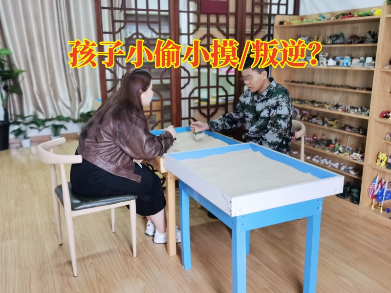 少年管教學校,正規(guī)管教孩子的學校 少年管教學校,正規(guī)管教孩子的學校