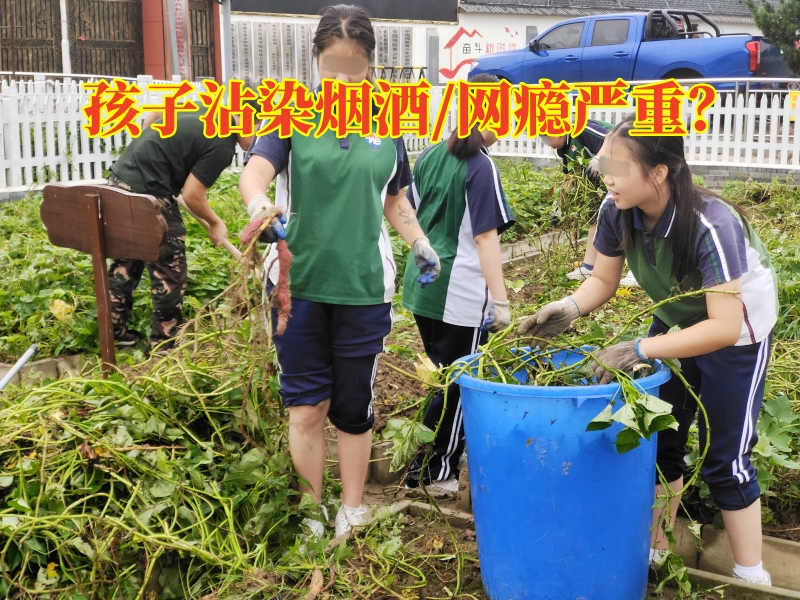 叛逆教育學校,叛逆孩子管教學校 叛逆教育學校,叛逆孩子管教學校