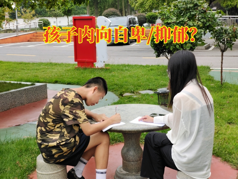 心理輔導學校,心理健康教育 心理輔導學校,心理健康教育