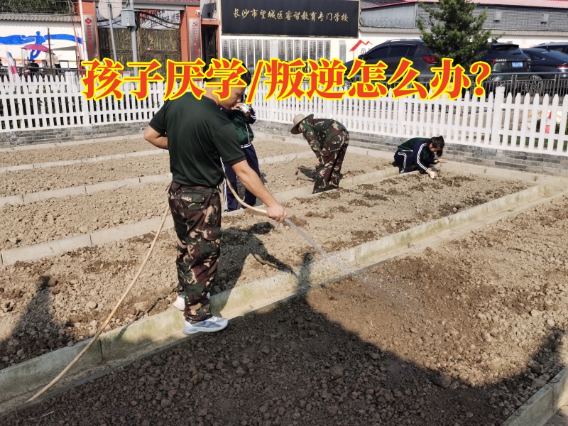 厭學孩子學校,孩子厭學教育學校 厭學孩子學校,孩子厭學教育學校