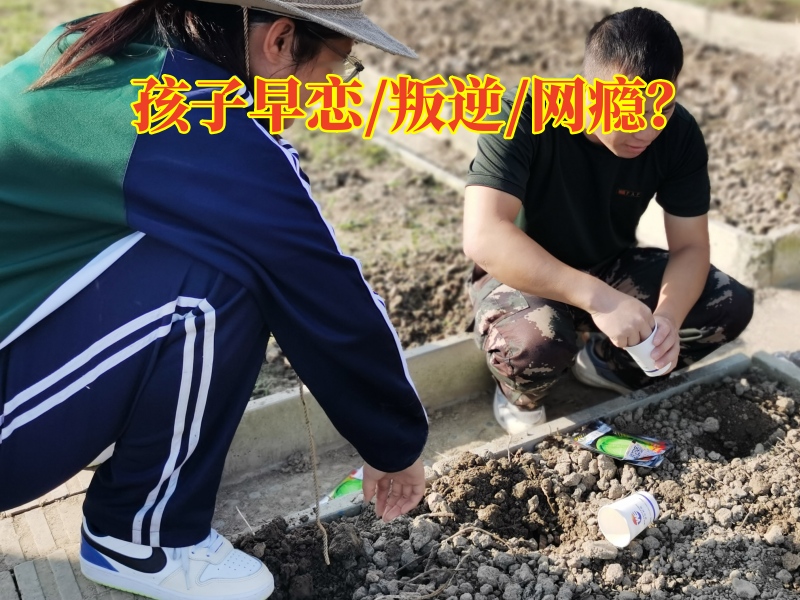 早戀教育學校,孩子早戀矯正學校 早戀教育學校,孩子早戀矯正學校