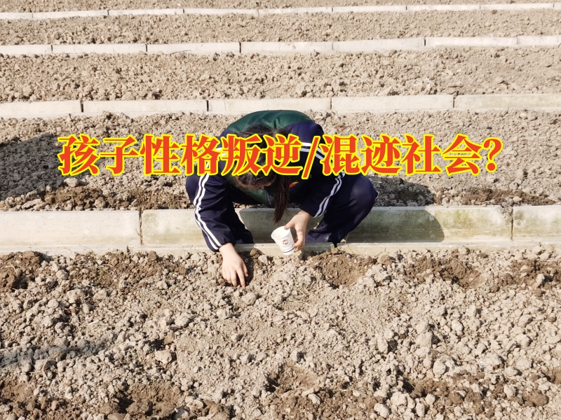 青春期叛逆教育學校,叛逆孩子管教學校 青春期叛逆教育學校,叛逆孩子管教學校