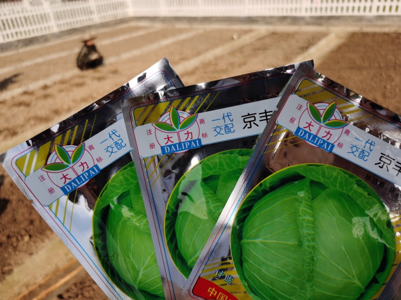 叛逆孩子學校,叛逆教育學校 叛逆孩子學校,叛逆教育學校