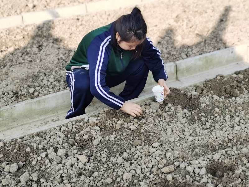 叛逆孩子學校,叛逆教育學校 叛逆孩子學校,叛逆教育學校