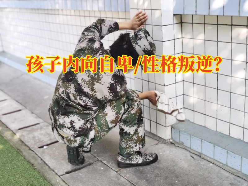 心理輔導(dǎo)學(xué)校,心理問題孩子學(xué)校 心理輔導(dǎo)學(xué)校,心理問題孩子學(xué)校