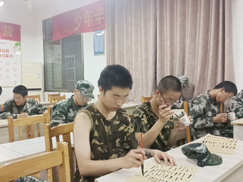 開展書法教育，領(lǐng)略文化之美，青少年素質(zhì)教育學(xué)校