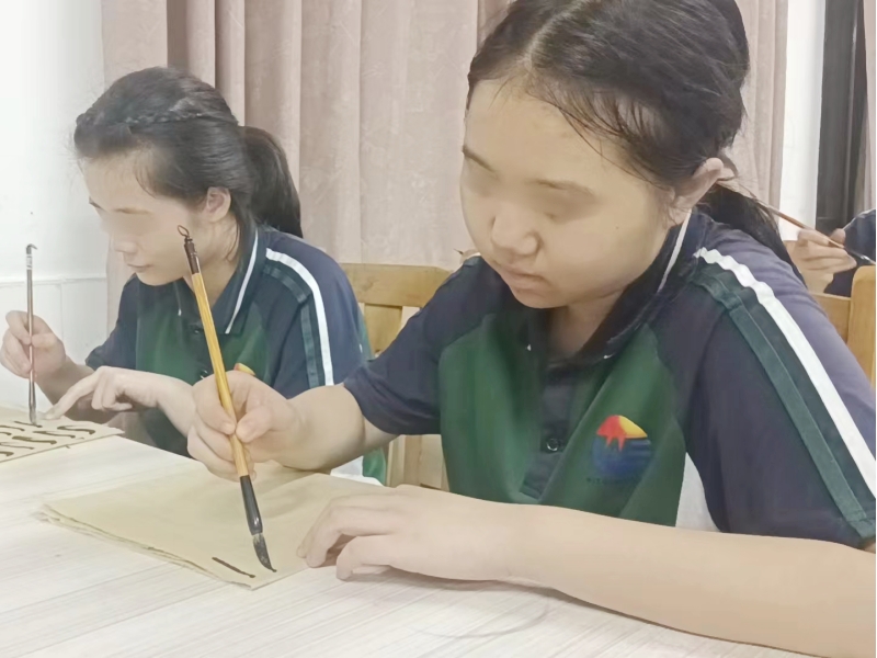 開展書法教育，領(lǐng)略文化之美，青少年素質(zhì)教育學(xué)校