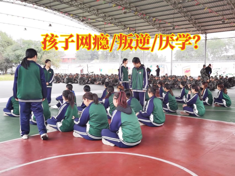 勵志戒網癮學校分析孩子迷戀手機的影響 勵志戒網癮學校分析孩子迷戀手機的影響