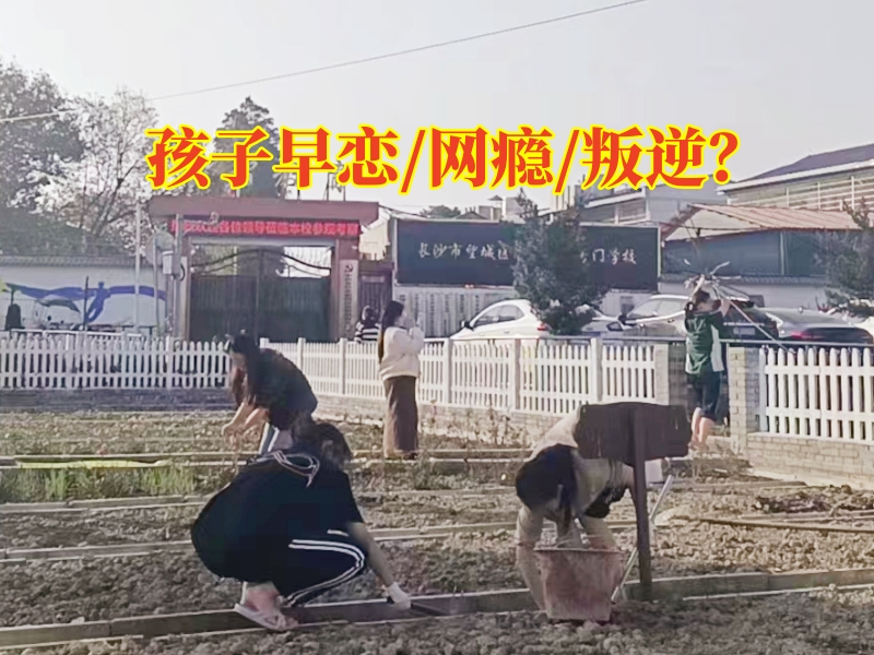 學(xué)生早戀學(xué)校矯正孩子早戀問題,學(xué)生早戀學(xué)校 學(xué)生早戀學(xué)校矯正孩子早戀問題,學(xué)生早戀學(xué)校