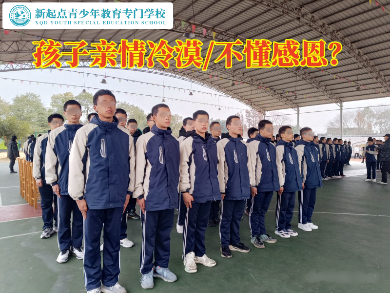 正規叛逆少年教育學校解決孩子親情冷漠的三個方法 正規叛逆少年教育學校解決孩子親情冷漠的三個方法