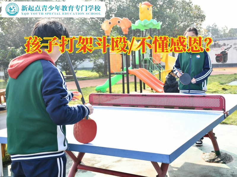 專管叛逆孩子的學校,叛逆孩子的學校 專管叛逆孩子的學校,叛逆孩子的學校