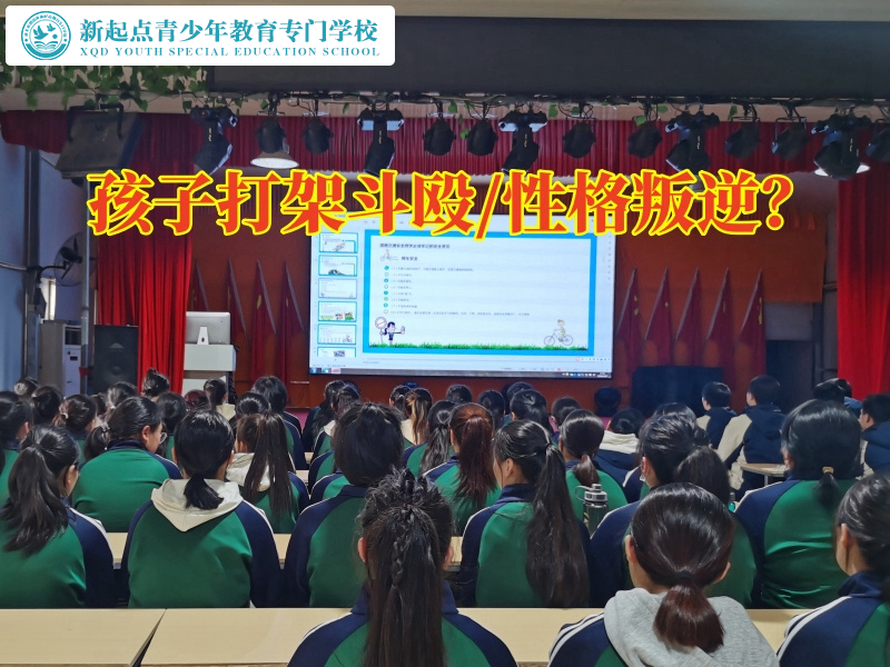 叛逆孩子教導(dǎo)學(xué)校分析孩子愛(ài)打架的原因 叛逆孩子教導(dǎo)學(xué)校分析孩子愛(ài)打架的原因