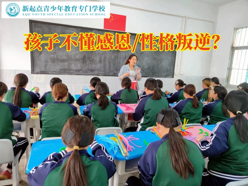 正規(guī)的全封閉學(xué)校分析孩子不懂感恩的危害 正規(guī)的全封閉學(xué)校分析孩子不懂感恩的危害