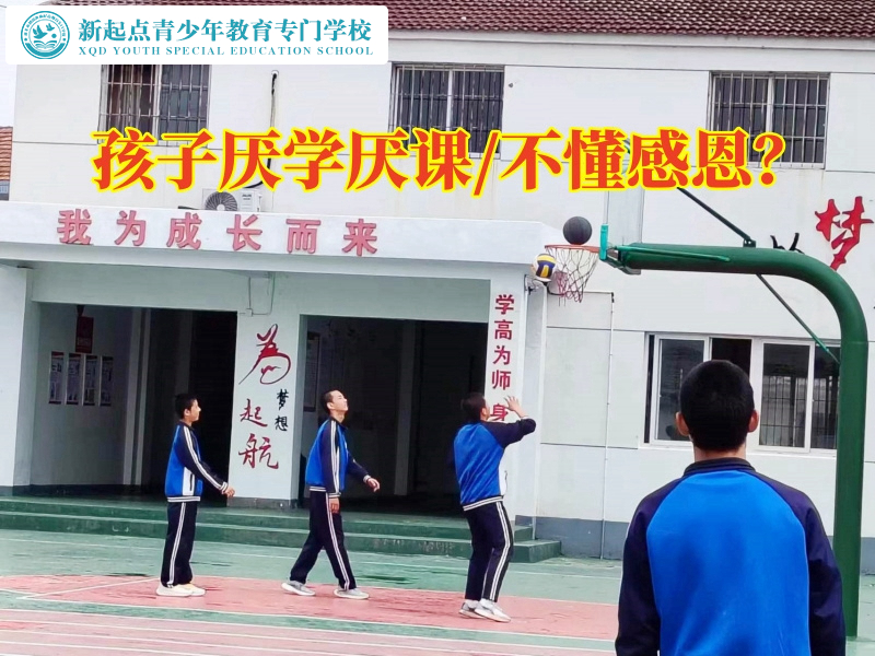 婁底叛逆專門學校對孩子不寫作業的建議 婁底叛逆專門學校對孩子不寫作業的建議