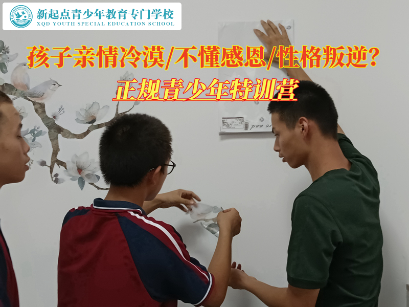 正規青少年特訓營分析親情冷漠的原因.jpg 正規青少年特訓營分析親情冷漠的原因.jpg