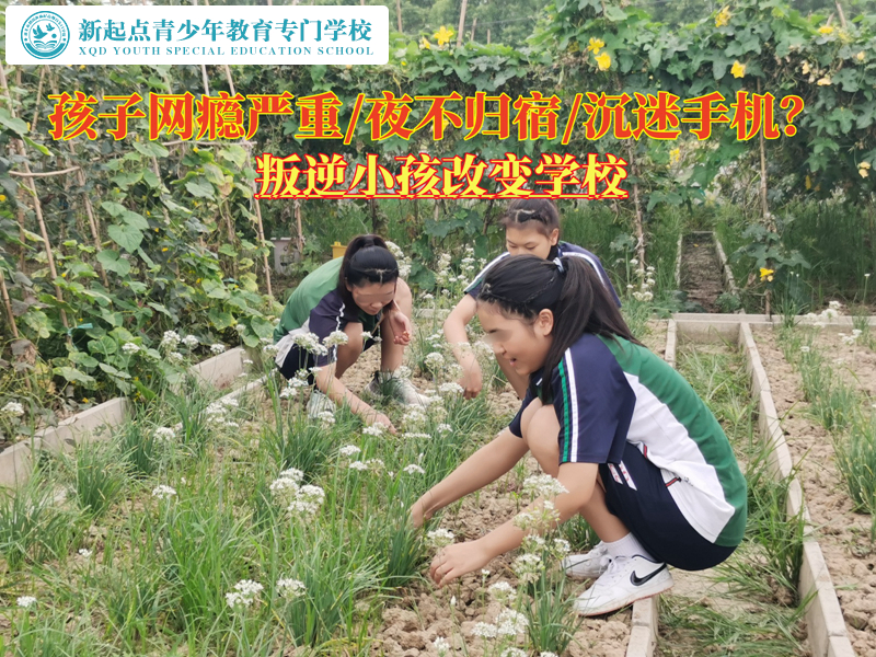 叛逆小孩改變學校矯正有網癮的孩子 叛逆小孩改變學校矯正有網癮的孩子