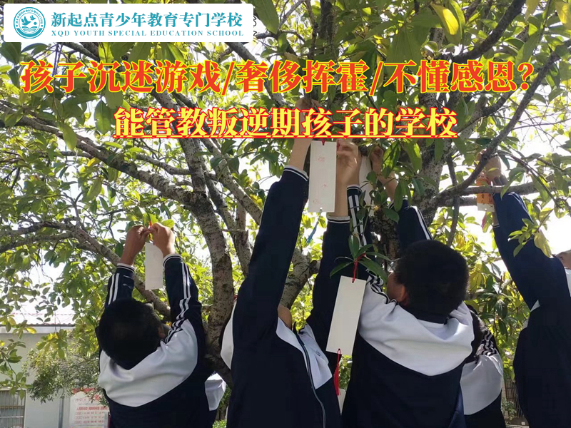 能管教叛逆期孩子的學校解決青少年沉迷游戲 能管教叛逆期孩子的學校解決青少年沉迷游戲