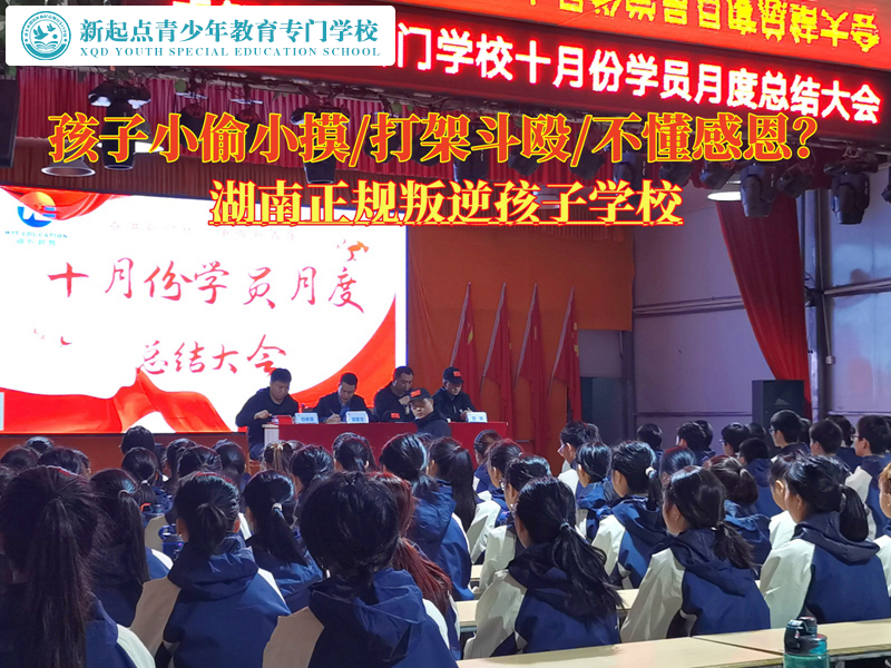 湖南正規叛逆孩子學校管教小偷小摸 湖南正規叛逆孩子學校管教小偷小摸