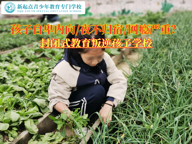 封閉式教育叛逆孩子學(xué)校驅(qū)散青春期的自卑 封閉式教育叛逆孩子學(xué)校驅(qū)散青春期的自卑