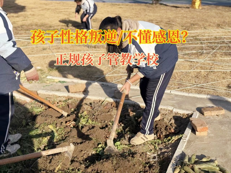 正規(guī)孩子管教學(xué)校改造不懂得感恩的青少年 正規(guī)孩子管教學(xué)校改造不懂得感恩的青少年