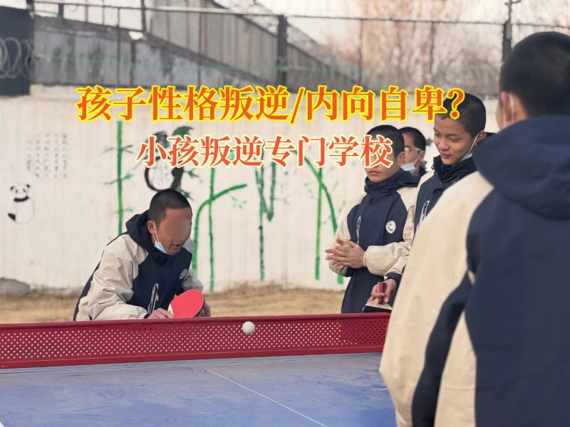 小孩叛逆專門學校教育特別膽小的青少年 小孩叛逆專門學校教育特別膽小的青少年