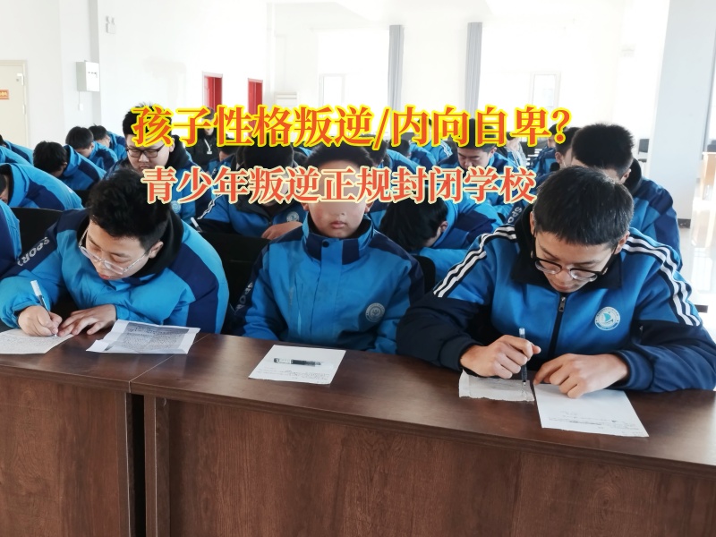 青少年叛逆正規封閉學校引導內向孩子變得開朗自信 青少年叛逆正規封閉學校引導內向孩子變得開朗自信