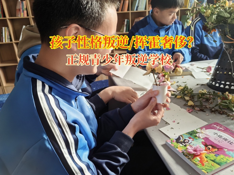正規青少年叛逆學校教育孩子抵制不必要消費 正規青少年叛逆學校教育孩子抵制不必要消費