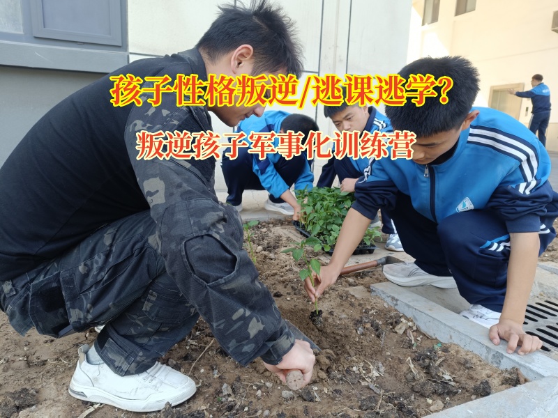 叛逆孩子軍事化訓練營助力青少年重歸正途 叛逆孩子軍事化訓練營助力青少年重歸正途